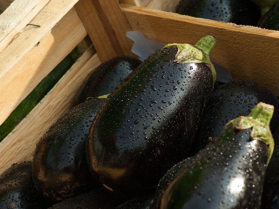 Melanzane alla parmigiana