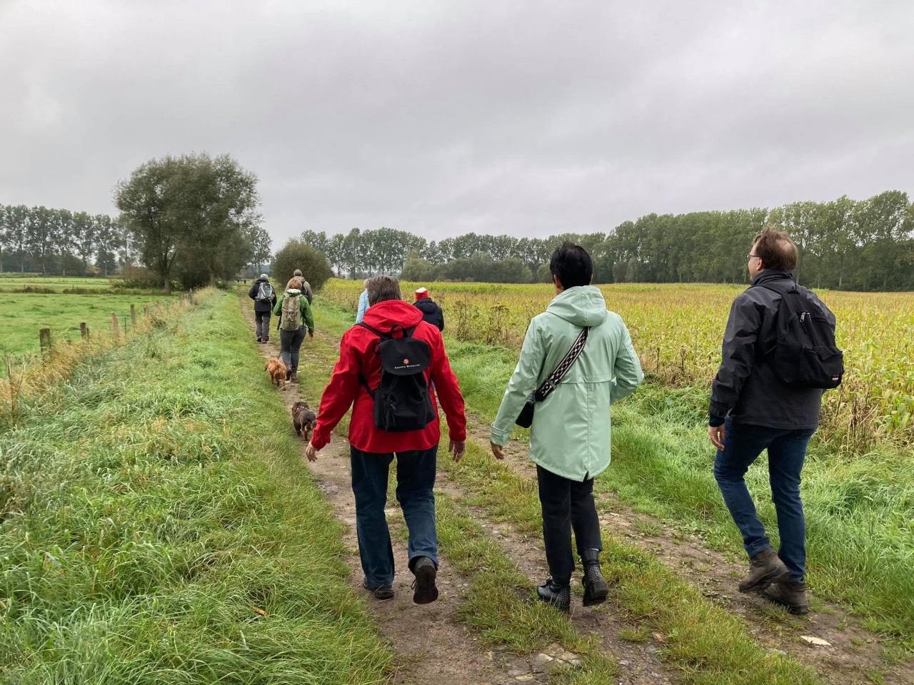 wandelen