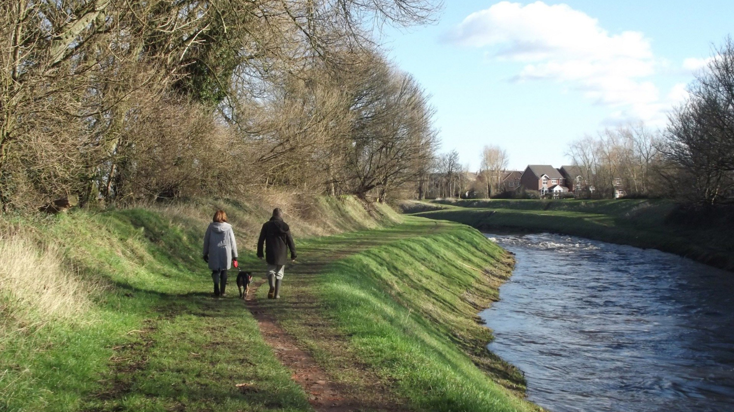 Juniwandeling Noord-Limburg