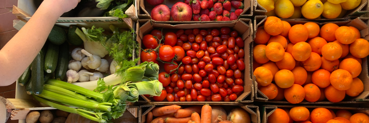 Kratten met verschillende soorten groenten en fruit zoals wortels tomaten sla selder