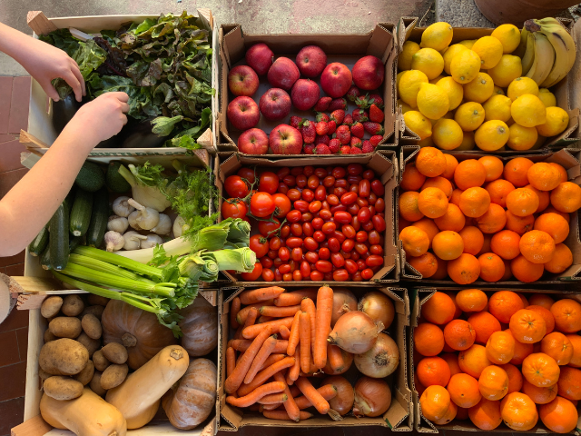 Kratten met verschillende soorten groenten en fruit zoals wortels tomaten sla selder
