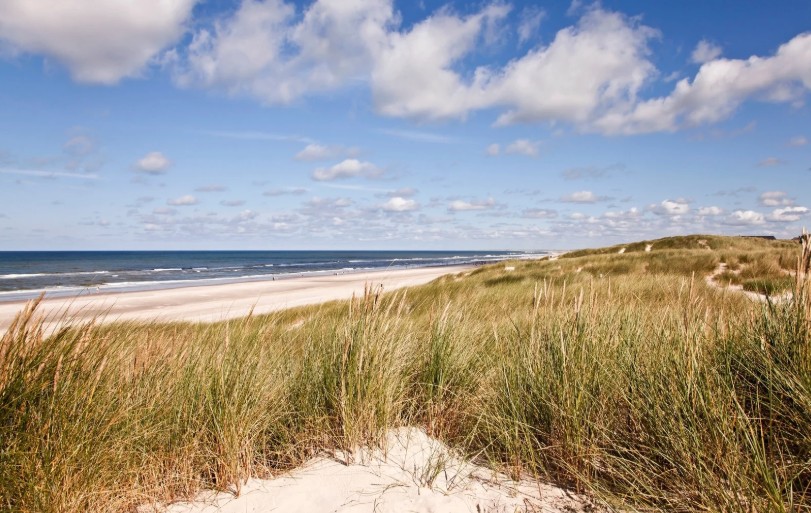 noordzee